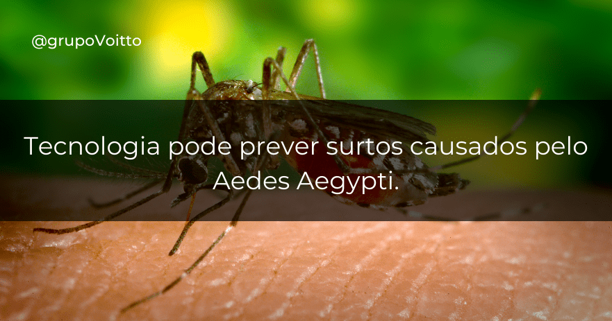 Tecnologia pode prever surtos causados pelo Aedes Aegypti.