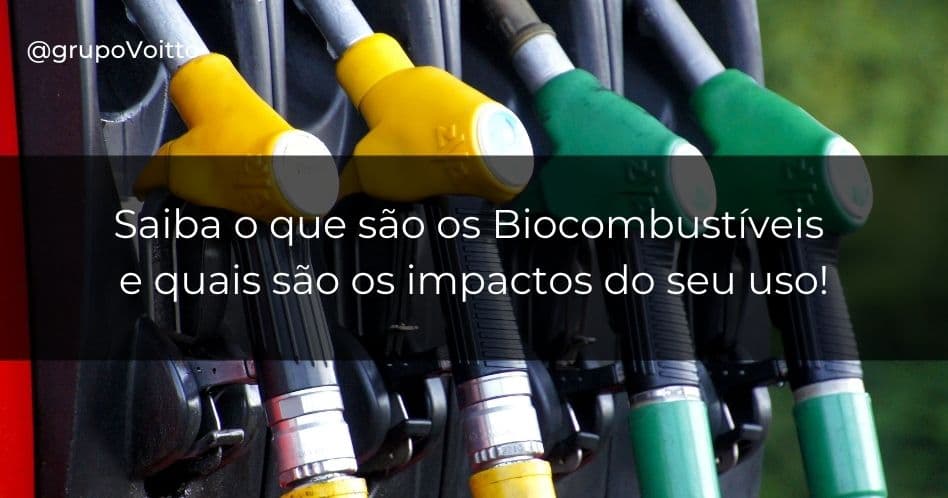 Saiba o que são os Biocombustíveis e quais são os impactos do seu uso!